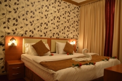 01-double-bed-suite-502