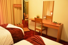 02-twin-bed-room