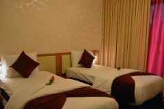 01-twin-bed-suite-208